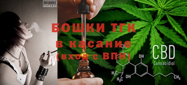 тгк Новодвинск