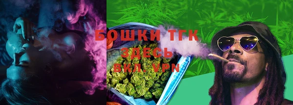 стаф Новозыбков
