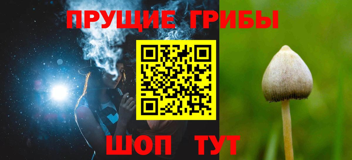 сколько стоит  Вход с VPN  Ногинск  Галлюциногенные грибы мицелий  Псилоцибиновые грибы прущие грибы 